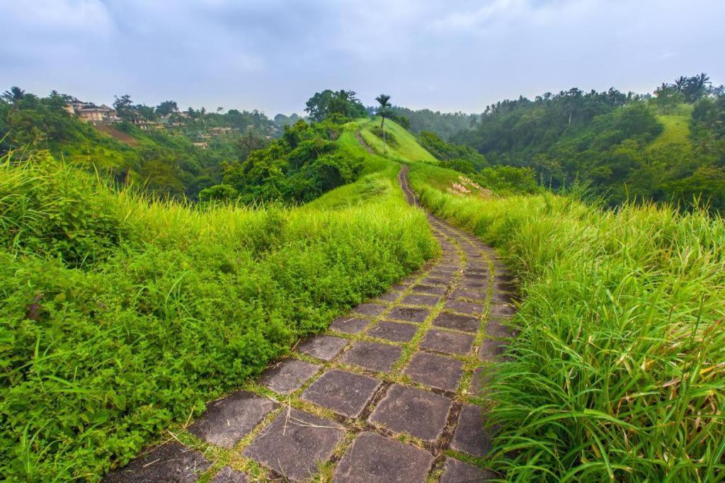 Casa Ganesha Hotel Ubud Ngoại thất bức ảnh