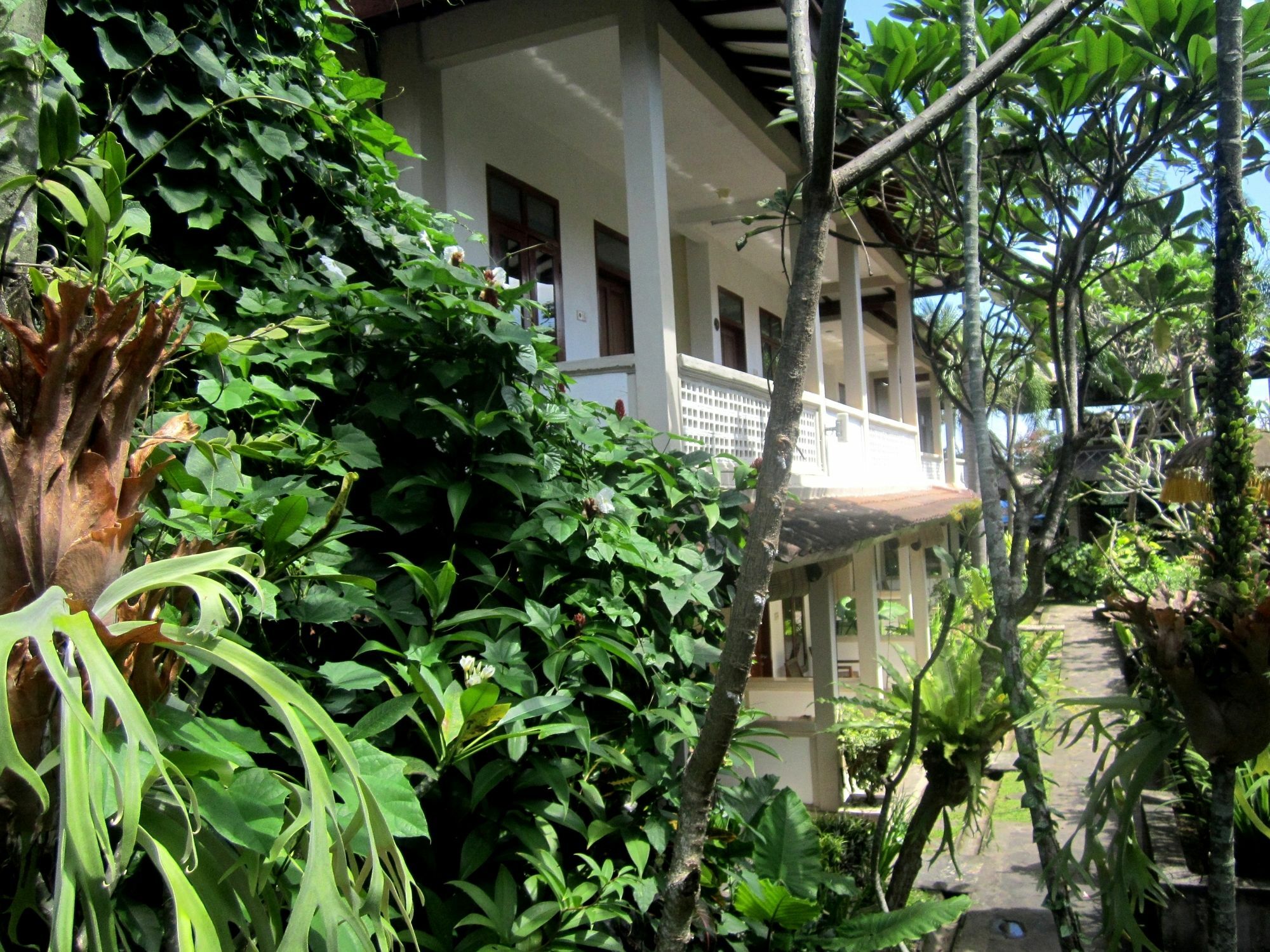 Casa Ganesha Hotel Ubud Ngoại thất bức ảnh
